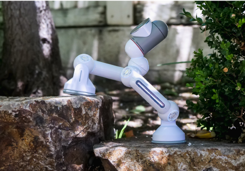 IA pode ajudar o meio ambiente