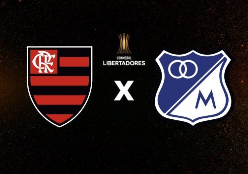 Confira onde assistir o jogo do flamengo ao vivo!